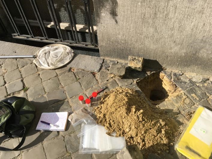 Nesten van wilde zandbijen